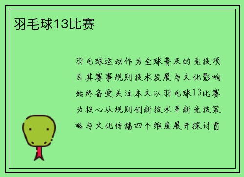羽毛球13比赛