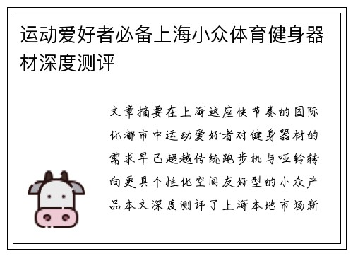 运动爱好者必备上海小众体育健身器材深度测评